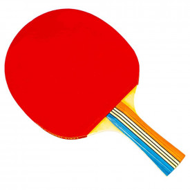 Paleta ping-pong, 1 buc/set