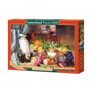Puzzle 3000 Pcs - Castorland