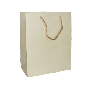 Punga cadou unicolora premium 26x32x12 cm