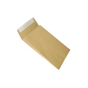 Plic C5 cu burduf kraft siliconic GPV