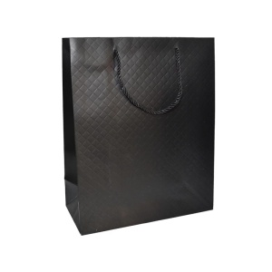 Punga cadou unicolora premium 26x32x12 cm