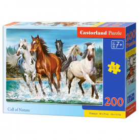 Puzzle 200 piese premium - Castorland