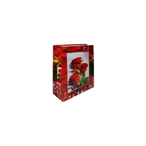 Punga cadou cu flori 43x55x15 cm