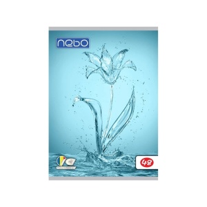 Caiet A5 48 file foi veline - NEBO