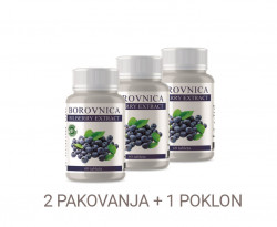 BILBERRY EXTRACT 2 + 1