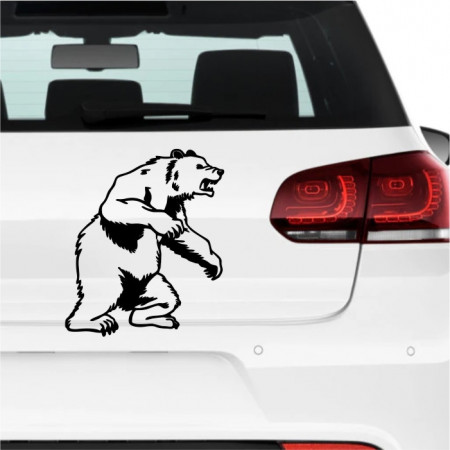 Sticker auto -Urs-