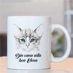Cana cu nume -Pisică-