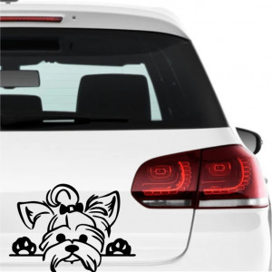 Sticker auto -Cățel-