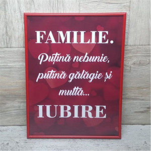 Tablou cu mesaj  M6