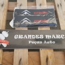 Almofadas de Cinto Citroen