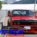 Car Bra (protecção de capô) BMW E30
