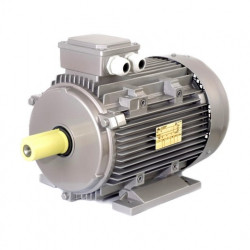 Elektromotor JM 80 B2 B3 1.1KW 230/400V 50Hz Seipee