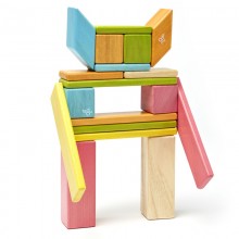 Set 24 piese din lemn magnetic, Tegu Tints