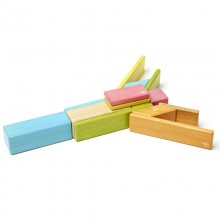 Set 14 piese din lemn magnetic, Tegu Tints