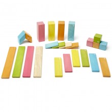 Set 24 piese din lemn magnetic, Tegu Tints