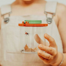 Cutia pentru insecte a micului colectionar naturalist – Moulin Roty