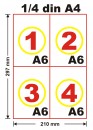 Carnet control medical periodic, A6
