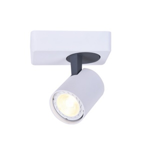 Spot aparent RA311S13WG 1xGu10