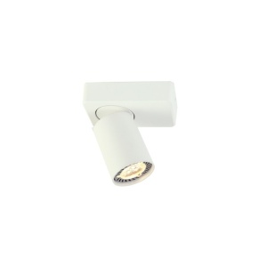 Spot aparent RA301S12WH 1xGu10