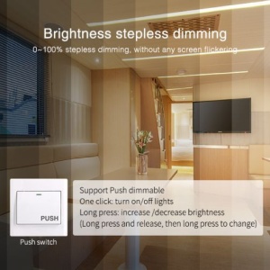 Dimmer Triac RF + Push Dimmer 230V,1.36A 300W