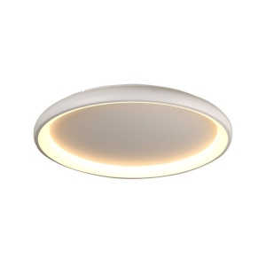 Plafoniera BR71LEDC81WH / D 100W