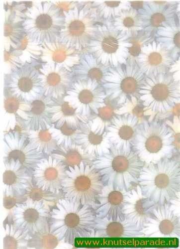 Romak vellum margrieten P2 325 20 (Locatie: 5719)