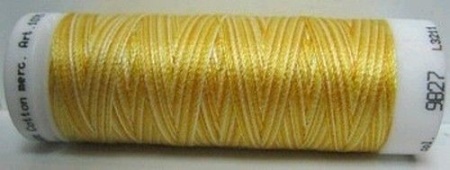Amann Mettler Silk finish multi 100 meter 9827