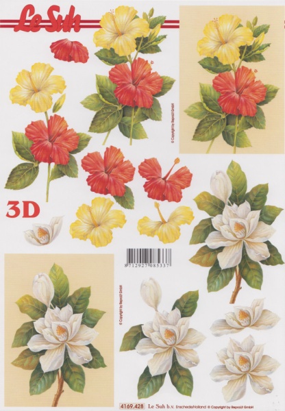 Le Suh knipvel bloemen 4169428 (Locatie: 1137)
