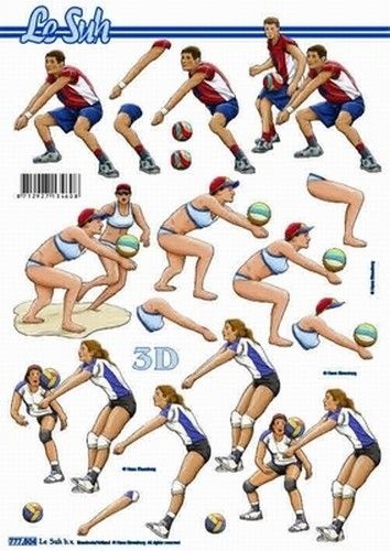 Le Suh knipvel sport handbal 777504 (Locatie: 2855)