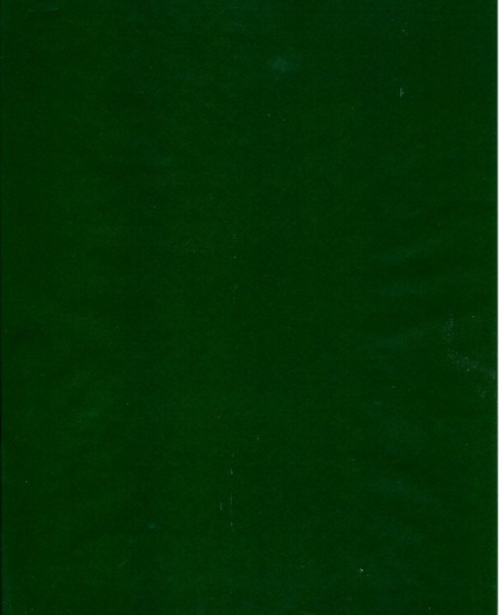 Vellum d. groen per vel (Locatie: 5827)