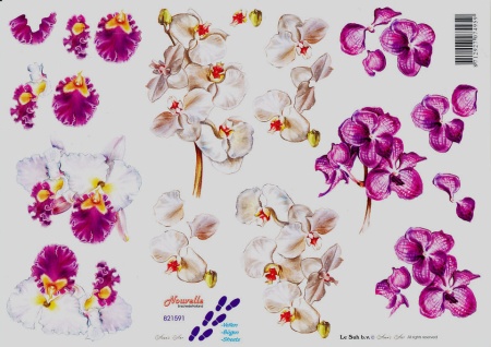 Le Suh knipvel bloemen nr. 821591 (Locatie: 1530)