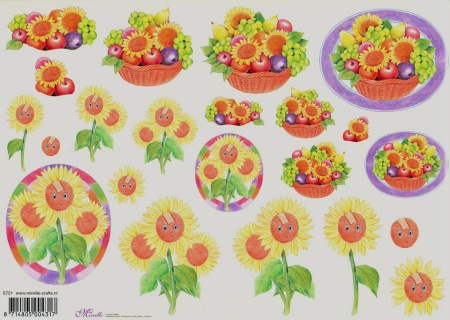 Mireille knipvel bloemen E721 (Locatie: 2384)