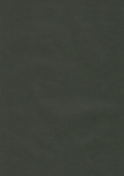 Vellum zwart met groene gloed per vel (Locatie: 5830)