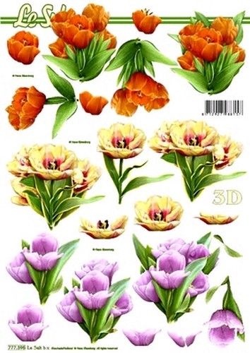 Le Suh knipvel bloemen 777395 (Locatie: 6449)