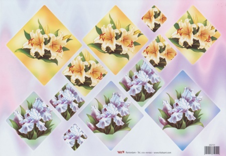 TBZ pyramide knipvel bloemen 202131 (Locatie: 0238)