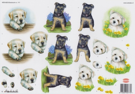 Wekabo knipvel honden 777 (Locatie: 2708)