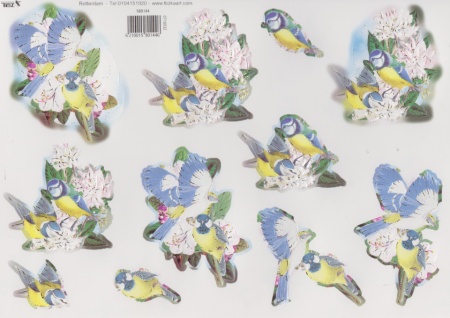 TBZ stansvel vogels nr. 580144 (Locatie: 4814)
