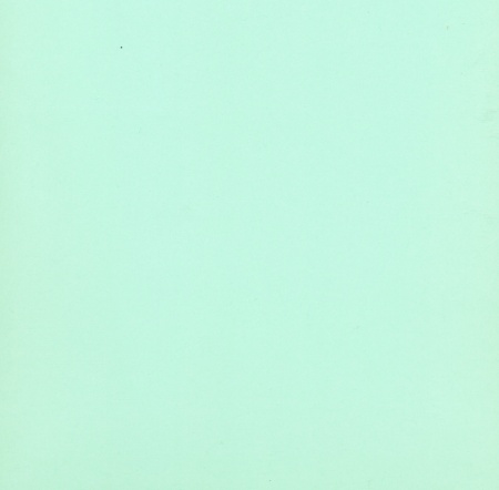 Top Hobby scrapbook karton 30,5x30,5 cm. lichtgroen