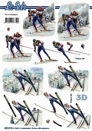Le Suh knipvel wintersporten langlaufen 8215710 (Locatie: 0405)