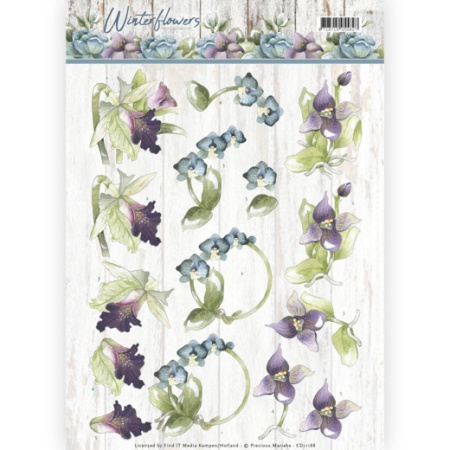Precious Marieke knipvel orchidee CD11188 (Locatie: 1313)