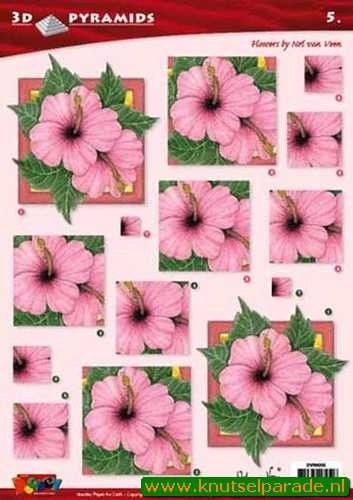 Doodey knipvel pyramids bloemen DV96005 (Locatie: 6821)