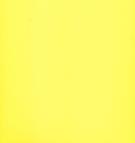 Top Hobby scrapbook karton 30,5x30,5 cm. narcisgeel