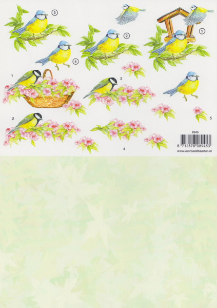 Voorbeeldkaarten knipvel vogel 8945 (Locatie: 2811)