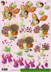 Anne Design herfst 2549 (Locatie: 114)