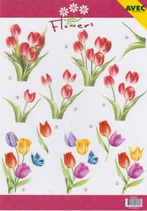 Avec knipvel bloemen 6000063 (Locatie: 1416)