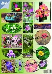 Joy! stansvel bloemen 0331 (Locatie: 0504)