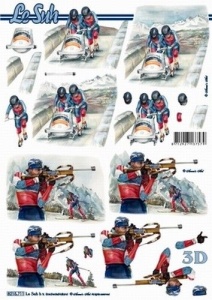 Le Suh knipvel wintersporten bobslee 8215711 (Locatie: 0138)