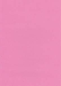 Lichtroze papier, A4 (Locatie: 5001)