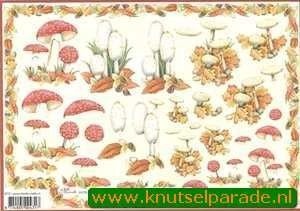 Mireille knipvel paddestoelen E757 (Locatie: 4703)