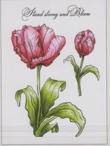 Studio Light stempel STAMPCS170 (Locatie: nn038)